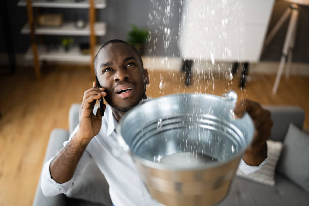 Best Water damage contractors near me  in Nsfield Center, MA