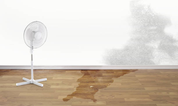  Nsfield Center, MA Water damage restoration Pros
