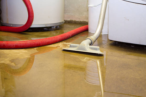 Best Water damage restoration near me  in Nsfield Center, MA