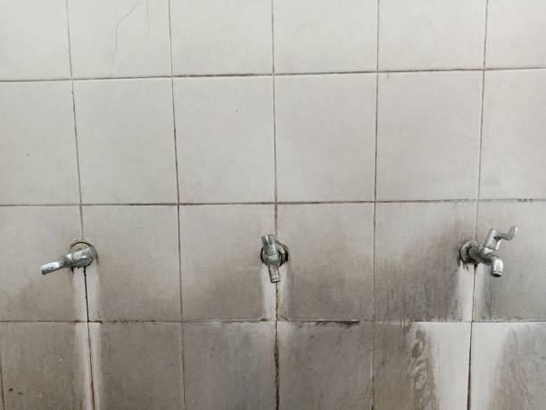 Best Flood damage cleanup  in Nsfield Center, MA