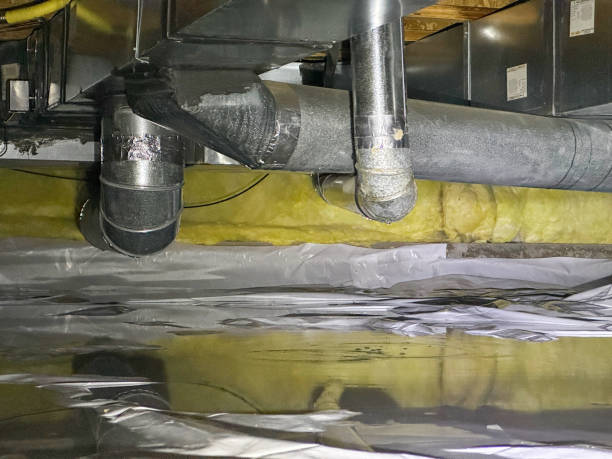 Best Flood restoration services  in Nsfield Center, MA