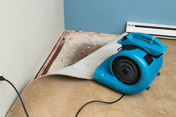 Best Basement water damage restoration  in Nsfield Center, MA